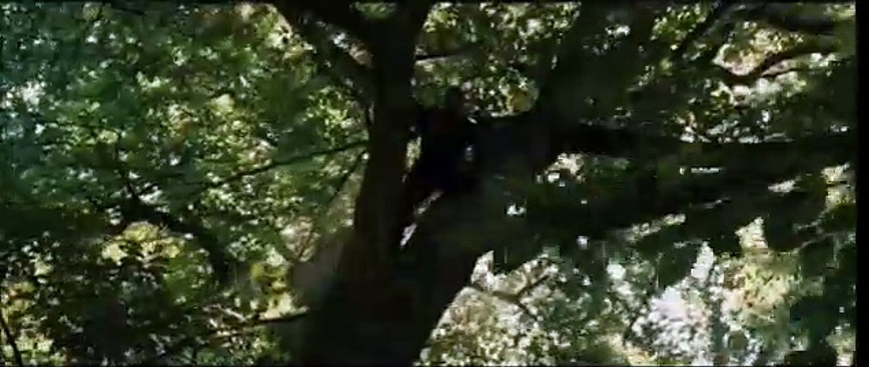 Robin Hood Tráiler