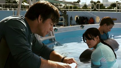 La gran aventura de Winter el delfín Tráiler