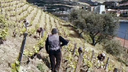 El extraño caso de Angélica Tráiler