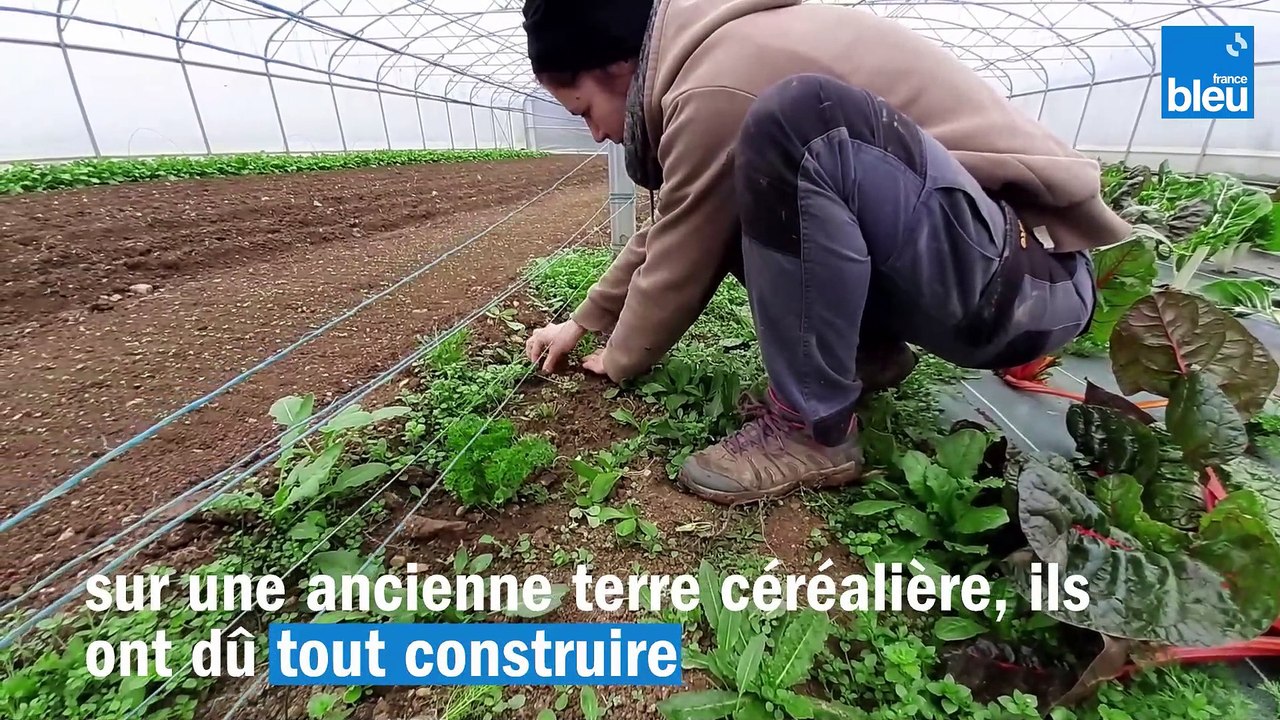 Génération Agriculteurs - Ils deviennent maraîchers bio à La Rochelle