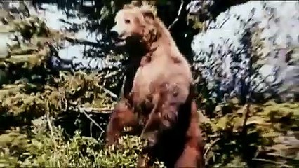 Grizzly Man Tráiler VO