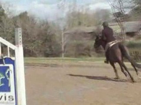 Thu Hoy cso Jeunes Chvx. La malbrande