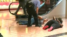 At least 20 arrested at St. Louis shopping mall