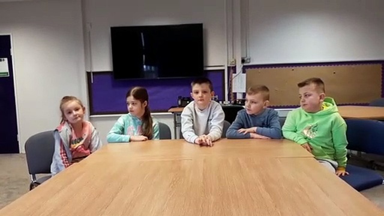 Sunderland Echo News - Pupils learn their Green Cross Code during Road Safety Day