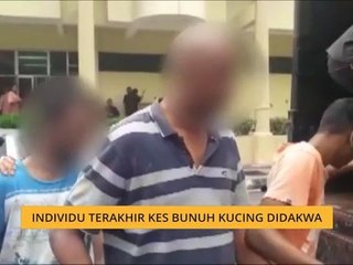 Individu terakhir kes bunuh kucing didakwa
