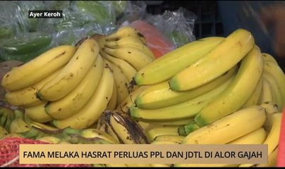 AWANI - Melaka: Fama Melaka hasrat perluas PPL dan JDTL di Alor Gajah