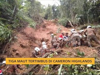 Tiga maut tertimbus di Cameron Highlands