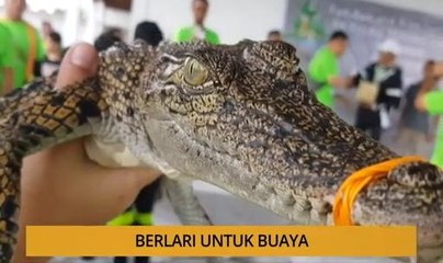 Kalendar Sarawak: Masalah bekalan air di pedalaman & berlari untuk buaya