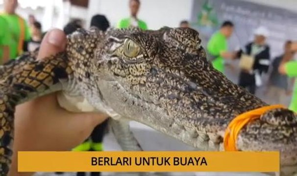 Kalendar Sarawak: Masalah bekalan air di pedalaman & berlari untuk buaya