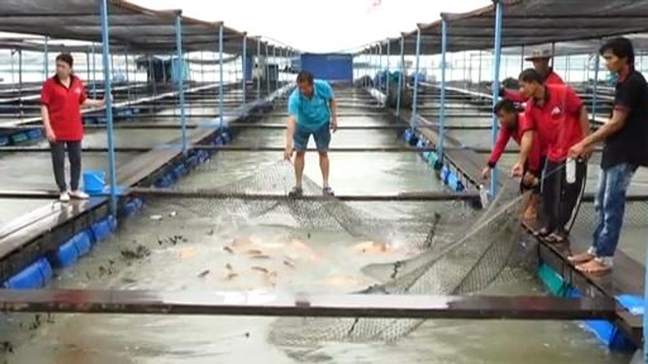 Ikon Agro: Permulaan baik dua ikon