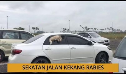 Kalendar Sarawak: Sekatan jalan kekang Rabies