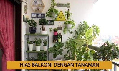 Tanam: Hias balkoni dengan tanaman