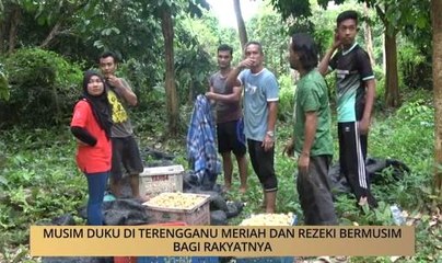 AWANI - Terengganu: Musim duku meriah dan rezeki bermusim bagi rakyatnya