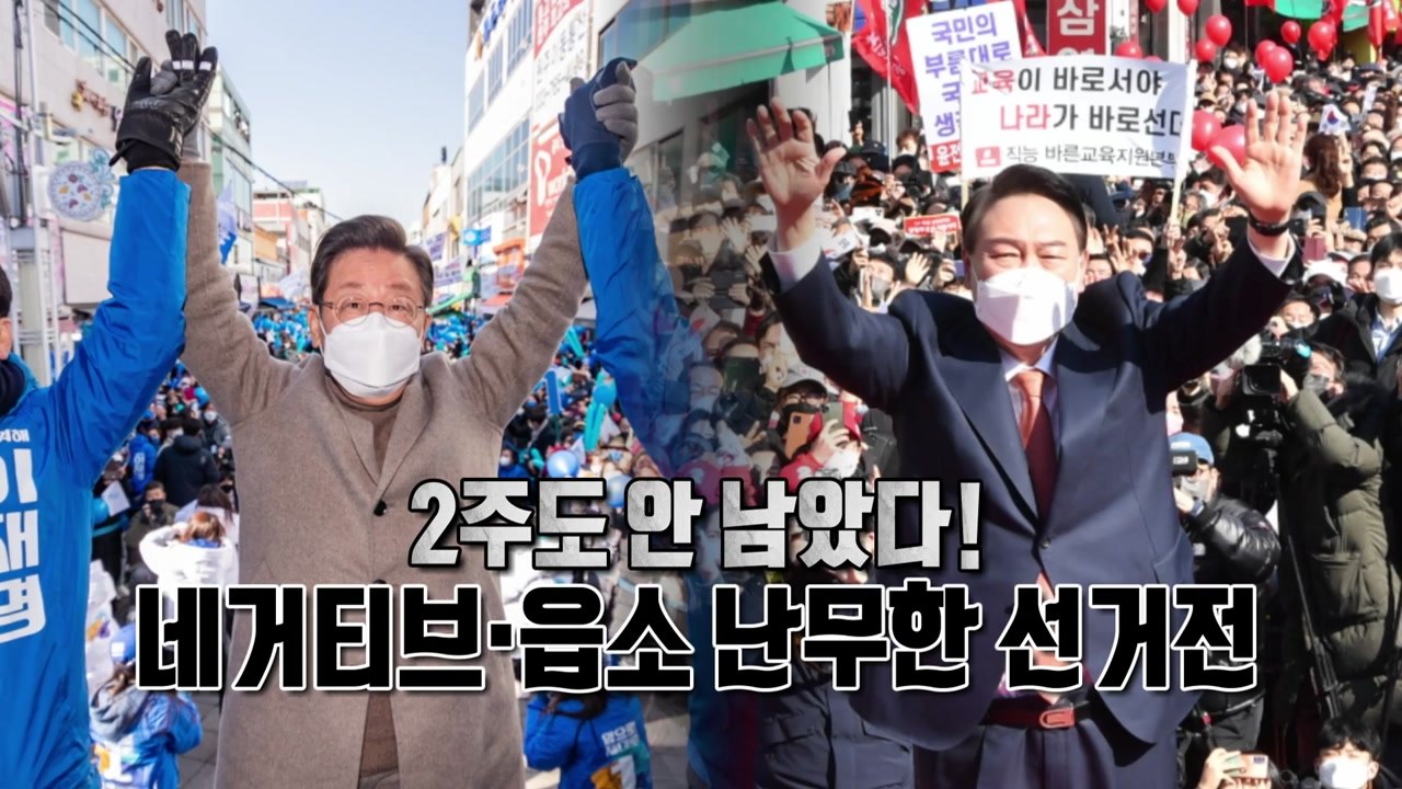 [영상] 네거티브 꽃이 피었습니다 / YTN