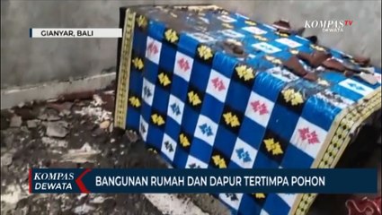 Hujan Lebat, Bangunan Rumah Tertimpa Pohon