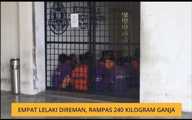 Empat lelaki direman, rampas 240 kilogram ganja