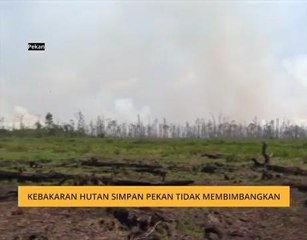 Kebakaran Hutan Simpan Pekan tidak membimbangkan