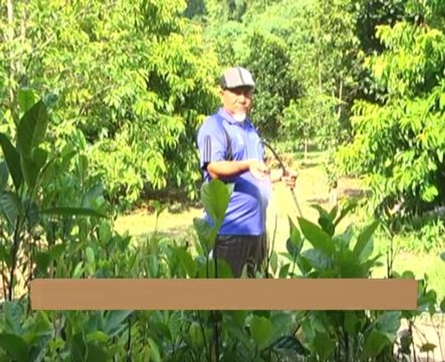 AWANI State [Kelantan]: Pesara bangkit semula selepas banjir 2014, usahakan tanaman nangka madu