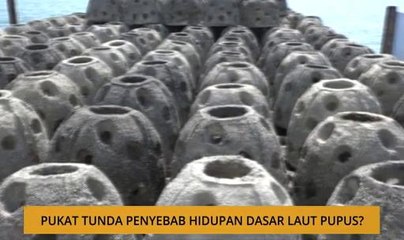Kalendar Sarawak: Pukat tunda penyebab hidupan dasar laut pupus?