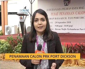 Sah! Saiful Bukhari bertanding di PRK Port Dickson