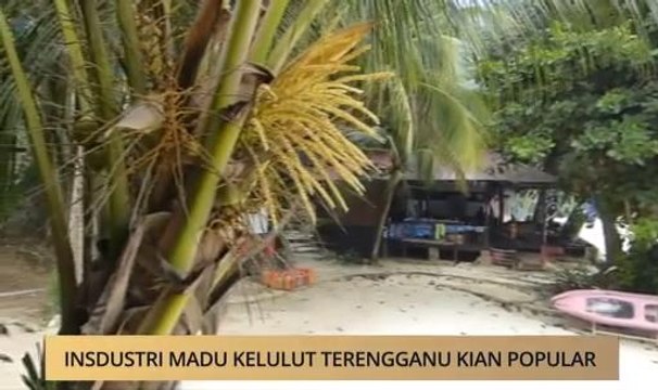 AWANI - Terengganu: Industri Madu Kelulut Terengganu kian popular