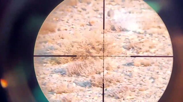 The best partridge hunting with PCP air rifle