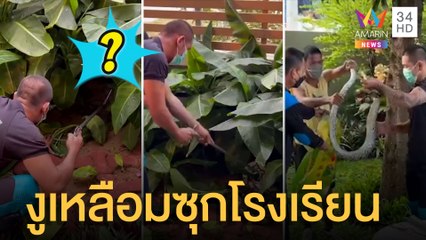 งูเหลือมอยากฉลาด! เลื้อยเข้าโรงเรียนเซอร์ไพรส์ครู | ข่าวเที่ยงอมรินทร์ | 25 ก.พ.65