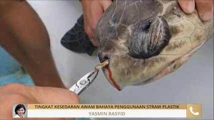 Kempen 'No Straw': semua perlu ambil peranan - EcoKnights