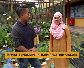 Tanam : Kenal tanaman; bukan sekadar makan