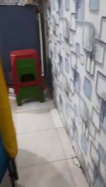 gak terasa bakal bilang SAY GOOD BYE denai