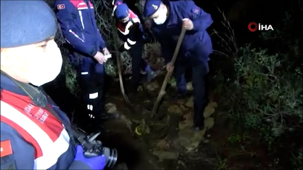 Mezarlık yakınındaki ormanlık alanda ağzı bağlanıp gömülmüş köpek cesedi bulundu