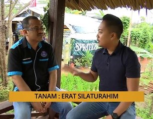 Tanam : Erat silaturahim