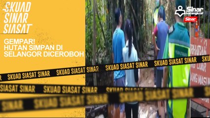Gempar! Hutan simpan di Selangor diceroboh