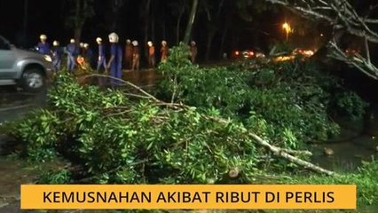 Kemusnahan akibat ribut di Perlis
