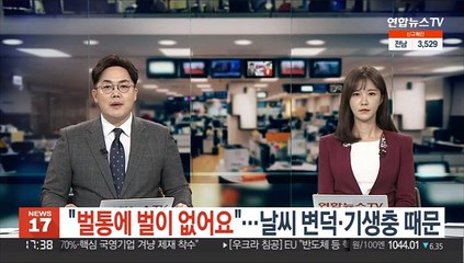 벌통에 벌이 없어요…날씨 변덕·기생충 때문