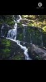 amazing nature scene + amazing water fall  #shorts #foryou