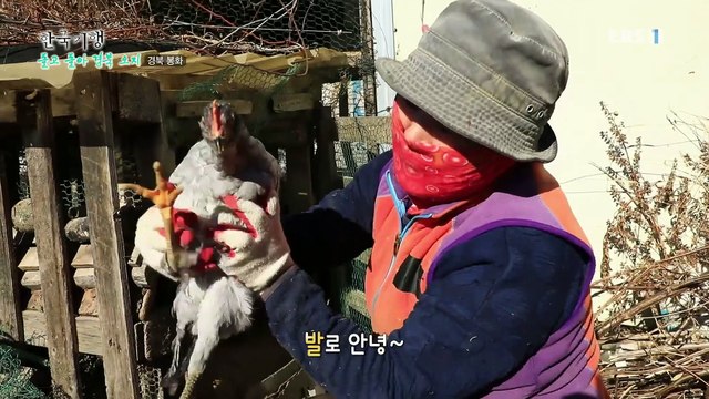 한국기행 - Korea travel_돌고 돌아 경북 오지 5부- 브라보 오지 라이프_#001