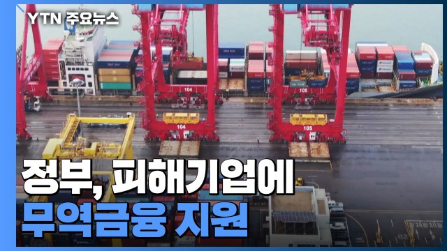 정부 피해 기업 무역금융 지원...외화자금 시장 집중 점검 / YTN