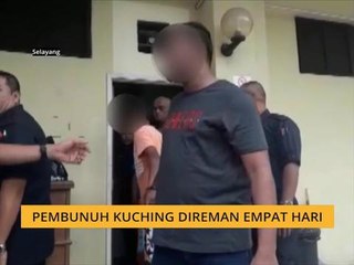 Pembunuh kucing direman empat hari