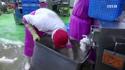 극한직업 - Extreme JOB_김이 모락모락, 만두와 찐빵_#002