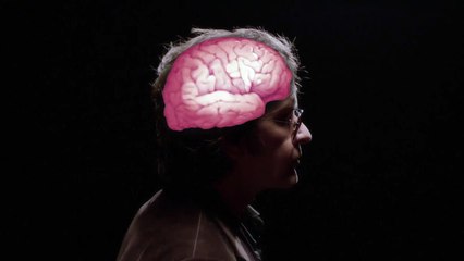 A Glimpse Inside The Mind of Charles Swan III Teaser VO