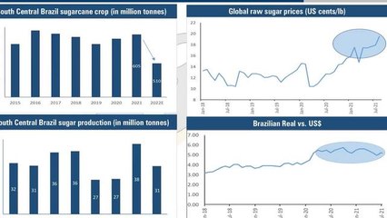BQ Edge: Learn How To Value Sugar Companies