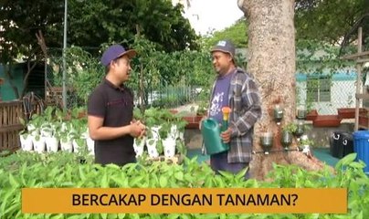 Tanam: Bercakap dengan tanaman?
