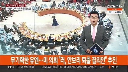 무기력한 유엔…미 의회 "러, 안보리 퇴출 결의안" 추진