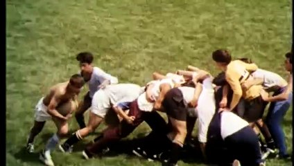 Los juncos salvajes Tráiler VO