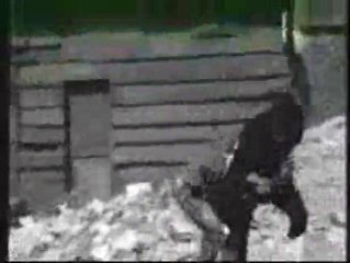 Demir yumruk: Devler geliyor Tráiler VO