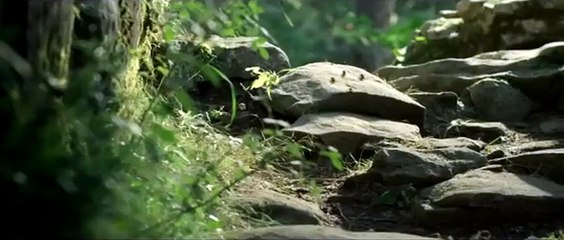 Minúsculos: El valle de las hormigas perdidas Tráiler (2) VO