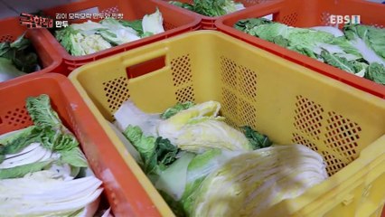 극한직업 - Extreme JOB_김이 모락모락, 만두와 찐빵_#001