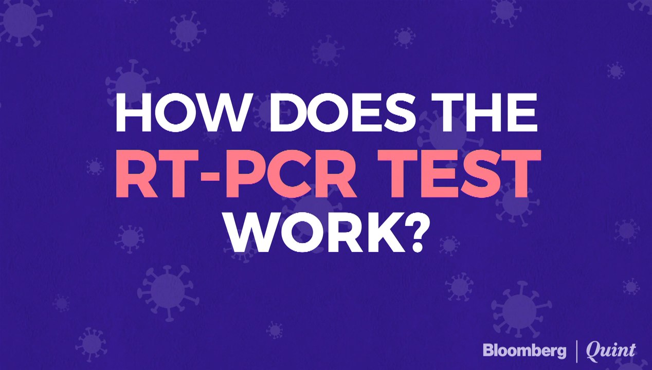 RTPCR Test Explained video Dailymotion