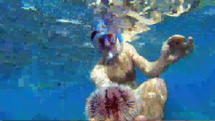 El heredero del diablo Tráiler VO